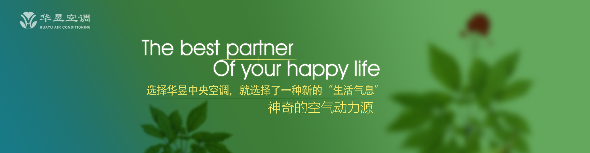 倾盖如故网